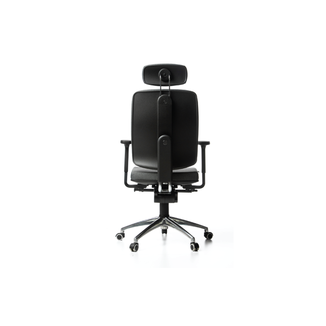 Steve w. headrest